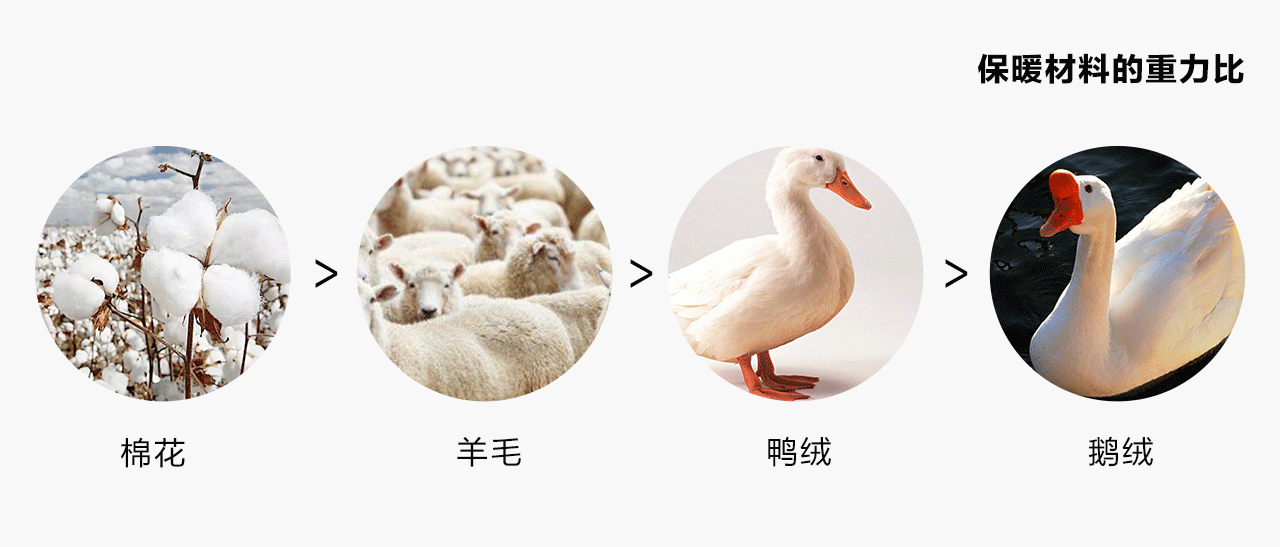 小标题插图3