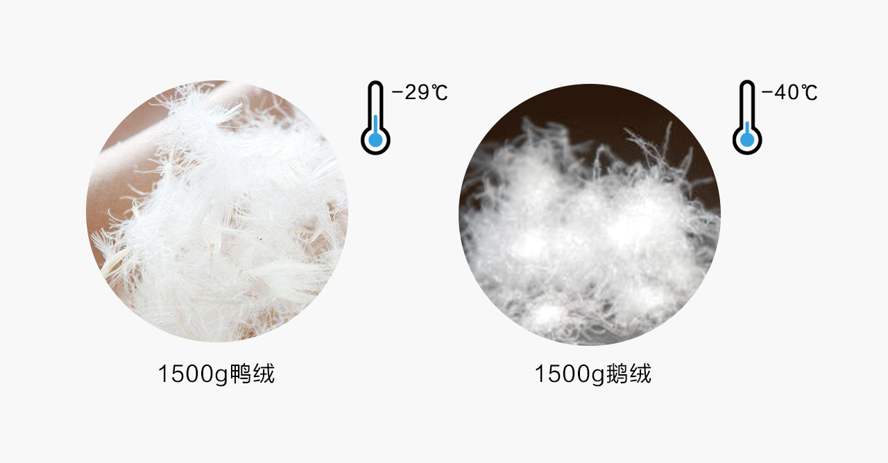 小标题插图2