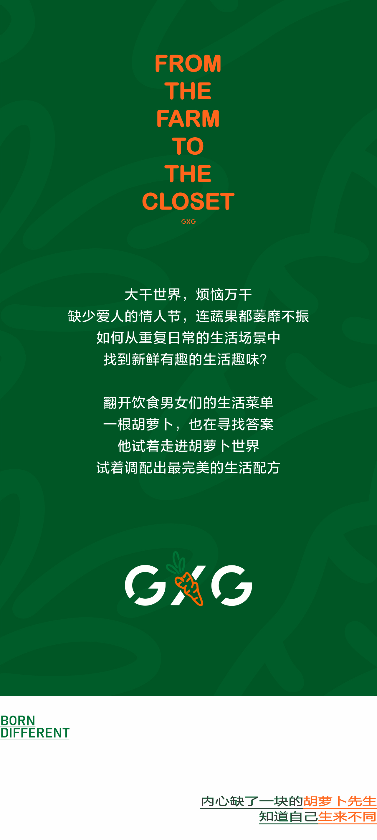 胡萝卜_02