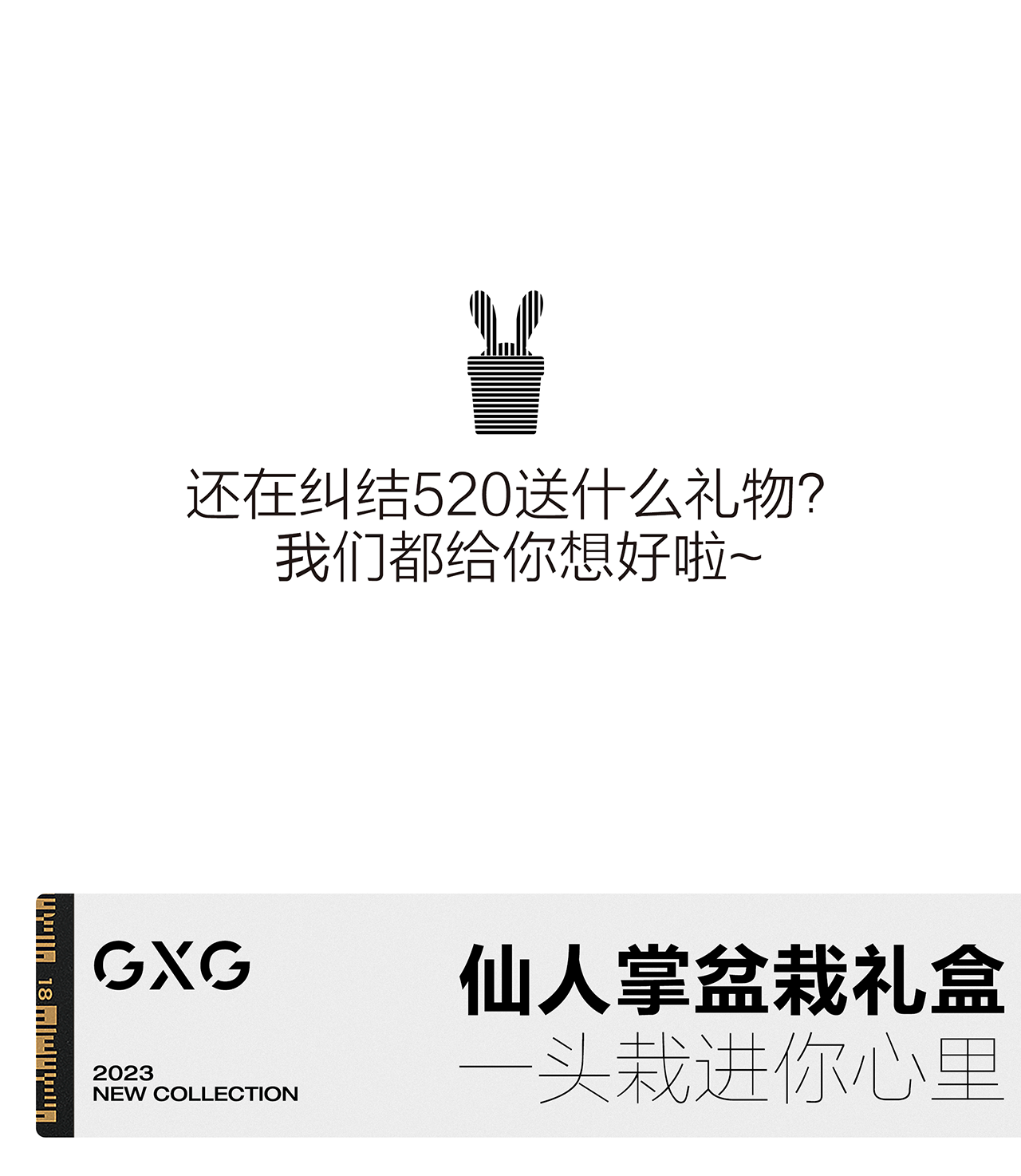 柏拉兔1_03